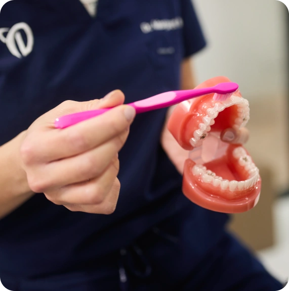 dentist Williams Landing